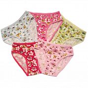 ������� �� ������� 